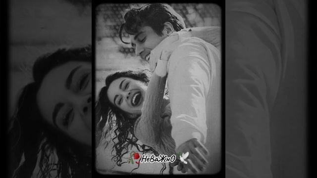 Я отпущу на волю Новая песня 2024 просто бомба с текст?