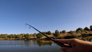 Осіній ЖОР окуня РОЗПОЧАВСЯ! Окунь їсть силікон фети 2