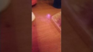 Мир кукол-1 серия