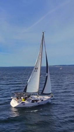 🚤 Sail Across Puget Sound – A Timeless Pacific Northwest Experience 🌊

There’s nothing quite like