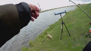 Открытие сезона открытой воды 2025