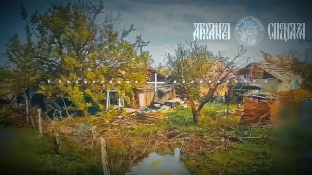 🤙 Хорошо устроились, мы помешаем.   Ударом FPV дрона уничтожили минометную позицию вместе с сами...
