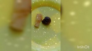 🐌🐌Моя улитка Улька 2 ЧАСТЬ💞💞
