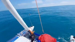 КАК ВЗОБРАТЬСЯ НА БОРТ КАТАМАРАНА ИЗ ВОДЫ, С НОСА..🌊💪