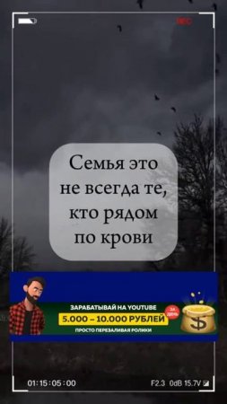 Не кровь объединяет — душа собирает.