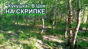Скрипач сыграл на скрипке "Кукушку"