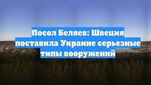 Посол Беляев: Швеция поставила Украине серьезные типы вооружений