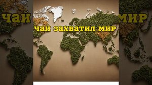 Чай захватил мир. Азербайджан