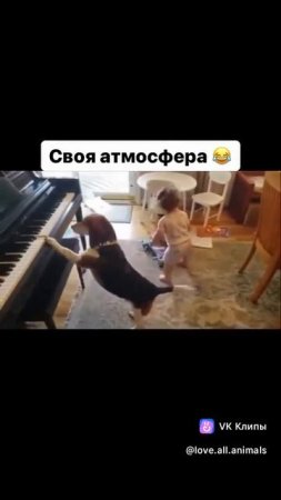 vkclips_20250524113108***