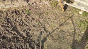 Чудо-лопата "Камнегрыз" чертеж и размеры