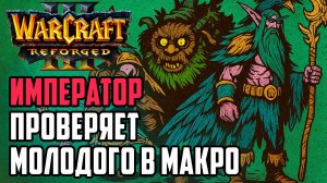 Император проверяет молодого в макро: Happy (UD) vs Kaho (NE) Warcraft 3 Reforged