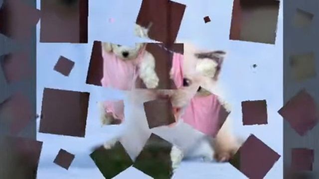 Милые фото смотреть онлайн