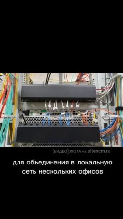 Коммутатор доступа MES2324B Eltex. Видео[Охота] на eltexcm.ru