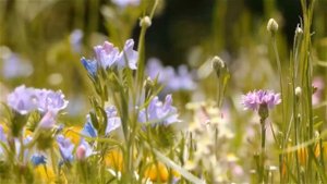 Секретарша Ходит на Работу Без Трусов! Сборник Свежих