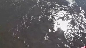 Теплоход "Феликс Дзержинский". Москва - Углич - Мышкин -