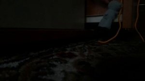 Приключение Тедди#1