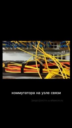 Коммутатор ЦОД MES5316A Eltex. Видео[Охота] на eltexcm.ru