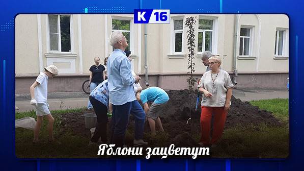 Яблоневую аллею посадили на проезде Вити Коробкова неравнодушные саровчане