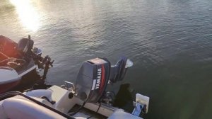 Бестер 480А и YAMAHA 60 hetol