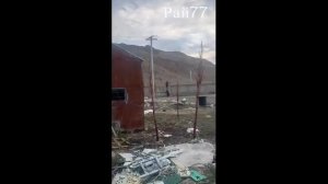 Собака выпроводила косолапых воришек, проникших на территорию частной собственности