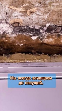 ⚠️ Ошибки ремонта, которые убивают перекрытия | Мы вскрыли потолок