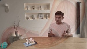 Мовалис, Мидокалм, Мильгамма: почему НЕЛЬЗЯ использов?