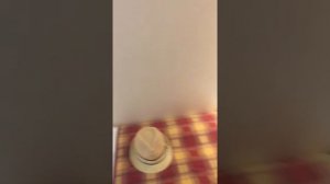 Лайнер MSC Lirica обзор внутренней каюты