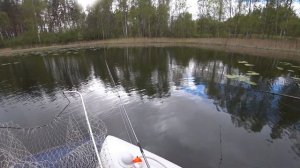 Открытие весеннего сезона ловли щуки 2025! Силикон и тей