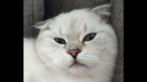 Юля, я проиграл 5 миллионов. Так что, теперь придется пр