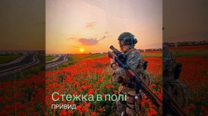 Стежка в полі