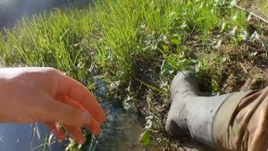 Дикий клёв Безумной рыбы на реке.Рыбалка весной на поп