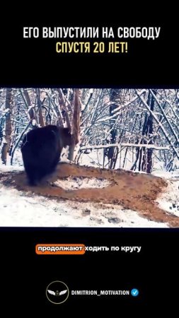 Все ограничения у нас в голове #мудрость