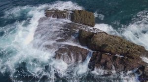 Природа и музыка объединились - смотри срочно - Queens of Oblivion TV Theme -- Matt Oakley -- SciFi