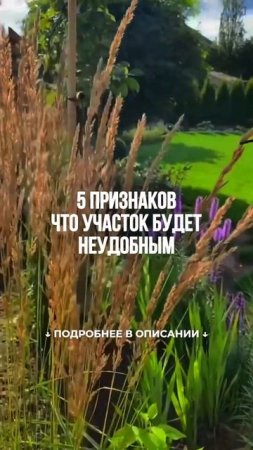 ➡️ Почему ваш участок будет неудобным смотри в комментариях