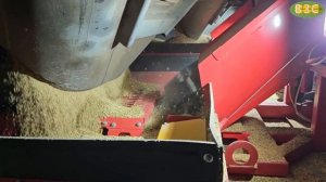 Разгрузка ячменя из вагона-хоппера в судно. РВХ-90 и ЗБ-2