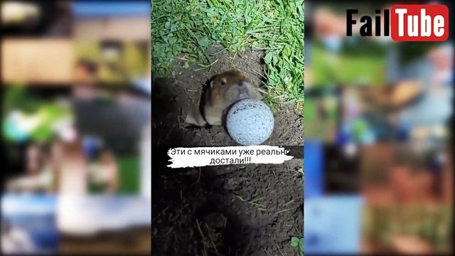 Приколы для взрослых Лучшие приколы 2024 Час Приколов С?