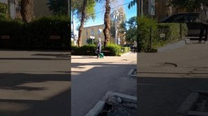 Утро в Бишкеке.  Установка рабочего места для продавщи