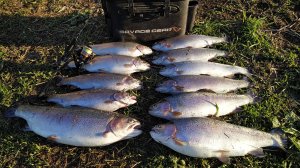 Береговой 14.05.2025