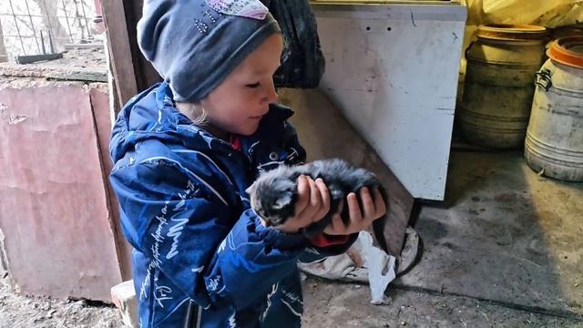 ЖИВЕМ В ДЕРЕВНЕ И ВОССТАНАВЛИВАЕМ ЗАБРОШЕНЫЙ ХУТОР. ОГОРОД НА ХУТОРЕ, А ТЕПЛИЦА  В ДЕРЕВНЕ