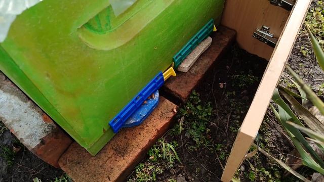 6 марта 2025г спас семью пчёлы от раннего холодного облё? смотреть онлайн