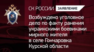 Возбуждено уголовное дело по факту ранения украинскими боевиками мирного жителя в Курской области