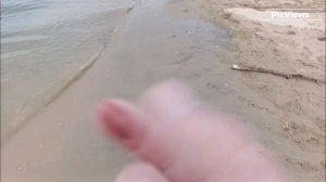 Витязево Анапа сегодня 28 мая 2025. Обстановка на пляже, курорте. Как выглядит море, есть ли мазут