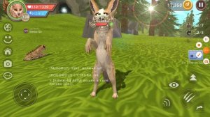 типы игроков в вилд крафт *смешные печальные и злые *