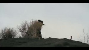 Нечестивая троица (2024)