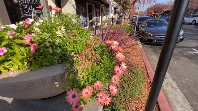 КАКИЕ АМЕРИКАНЦЫ ТЕРПЕЛИВЫЕ И ВЕЖЛИВЫЕ смотреть онлайн