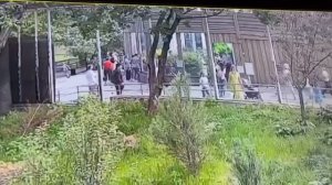 Неизвестный психопат попытался отравить животных в Московском зоопарке