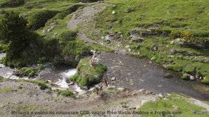 Это НЕ ФОТОШОП - но как! - As Mad as a bag ov Spiders -- Yellow Omm -- Unnamed album