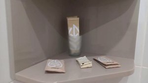 Гостиница в Санкт-Петербурге  на Невском  Астер