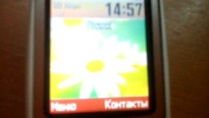 Samsung SGH-E530 Выкл/Вкл (2 варианта)/ Off/On (2 versions)