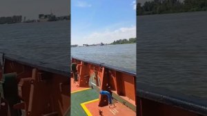 Румыния. Июнь 2024. Дунай#romania